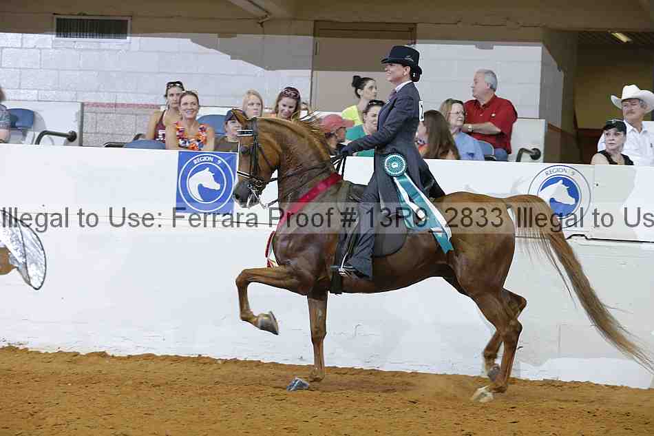 Proof 13r9_2833