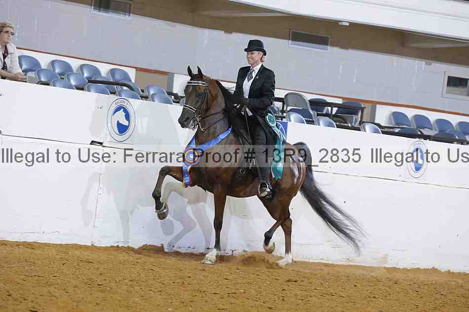 Proof 13r9_2835