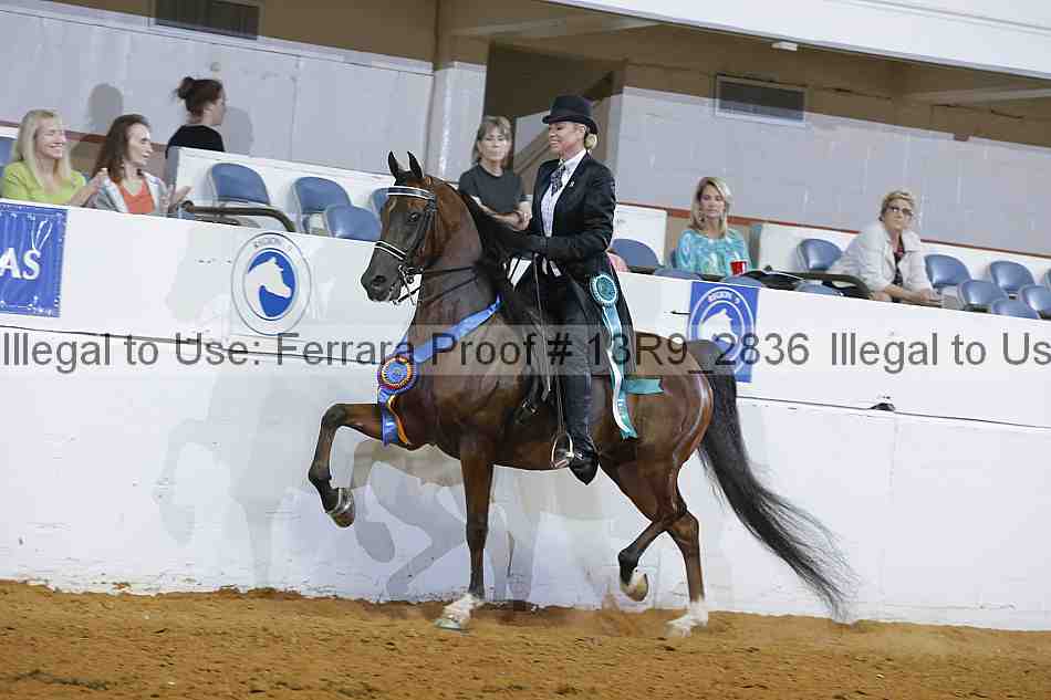Proof 13r9_2836
