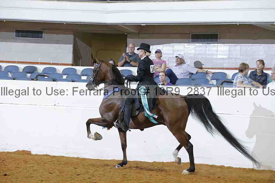 Proof 13r9_2837