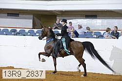 13r9_2837 proof