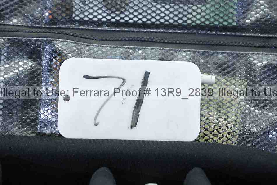 Proof 13r9_2839
