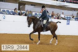 13r9_2844 proof