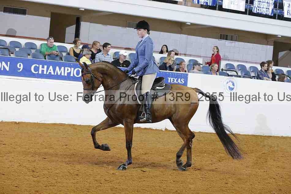 Proof 13r9_2855