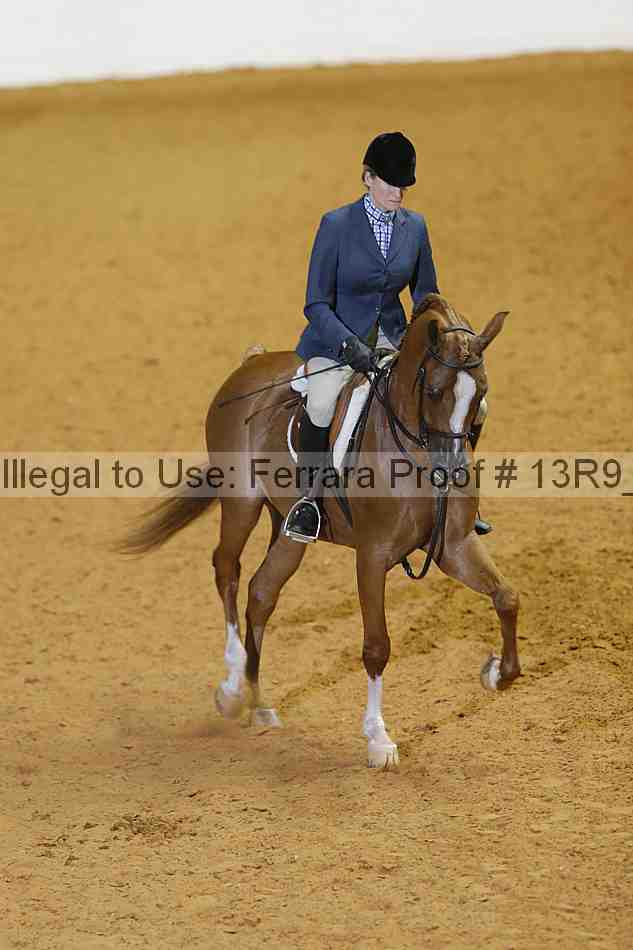 Proof 13r9_2856