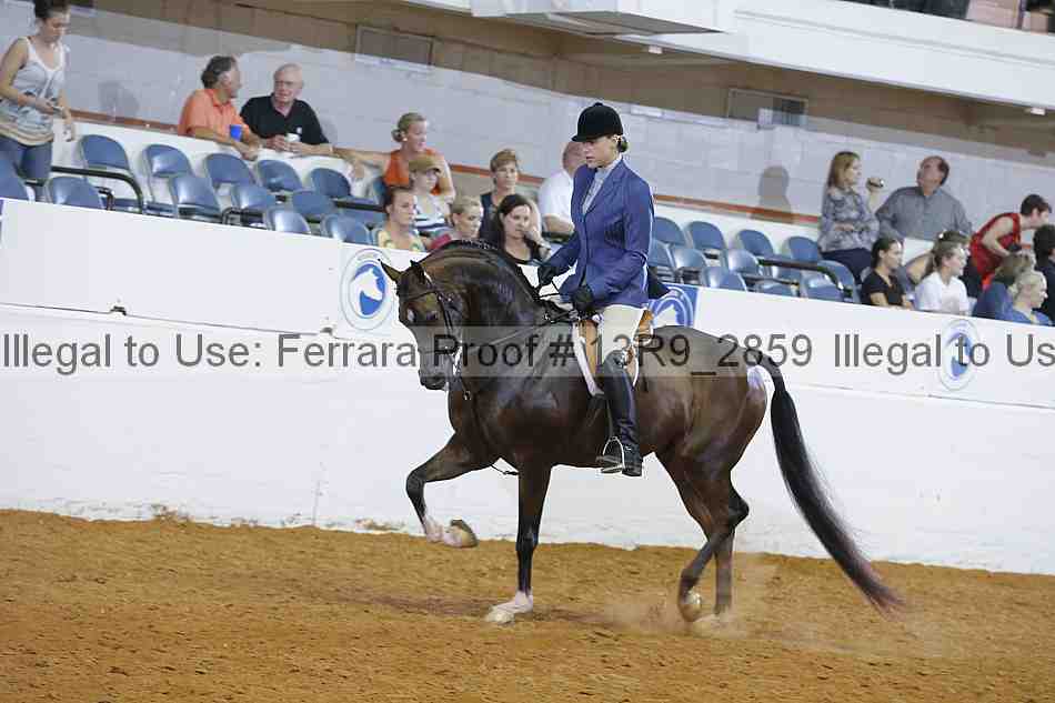 Proof 13r9_2859