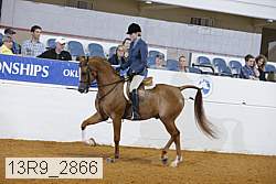 13r9_2866 proof