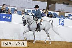 13r9_2870 proof