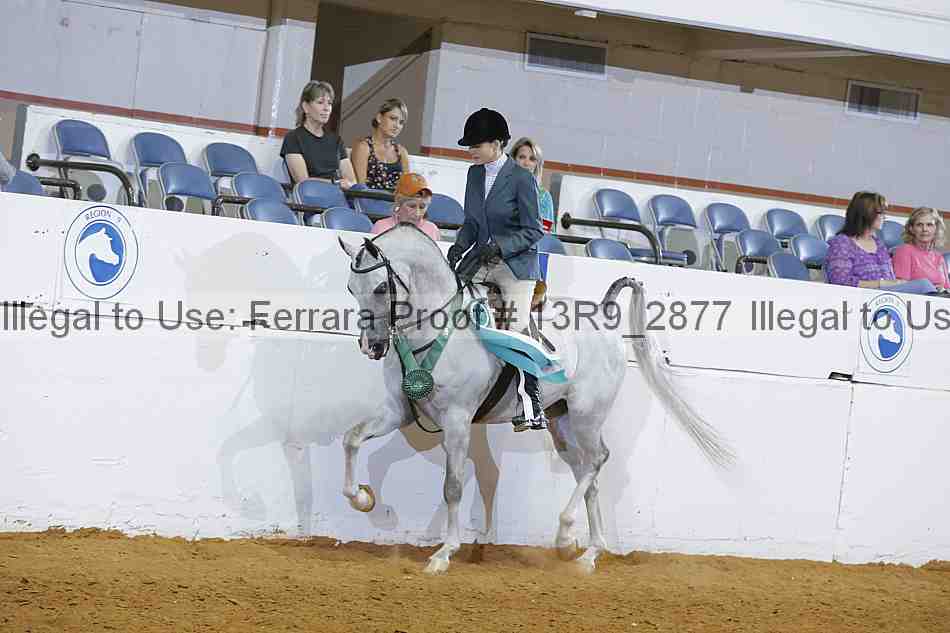 Proof 13r9_2877