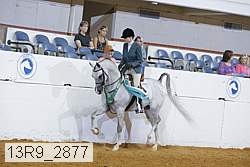 13r9_2877 proof