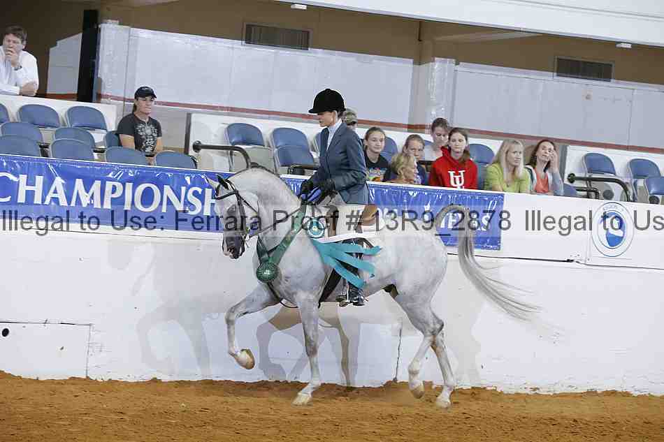 Proof 13r9_2878
