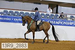 13r9_2883 proof