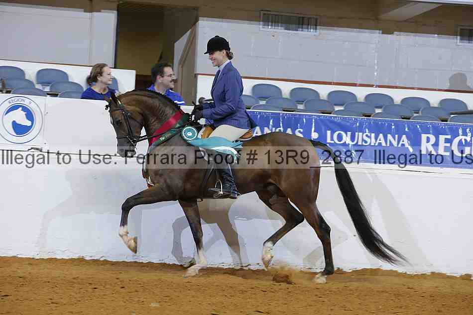 Proof 13r9_2887