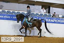 13r9_2891 proof