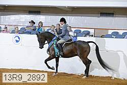 13r9_2892 proof