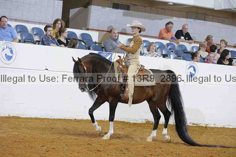 Proof 13r9_2896