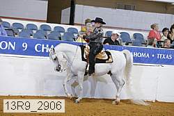 13r9_2906 proof