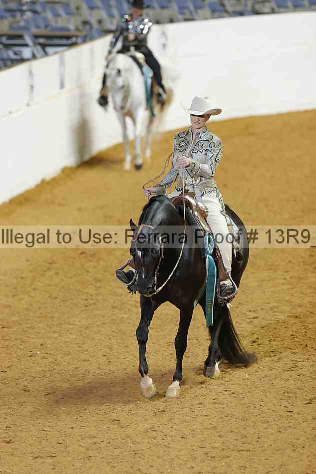 Proof 13r9_2923