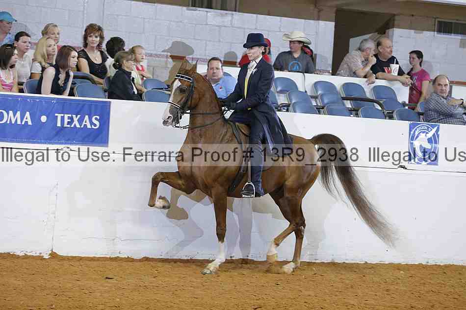 Proof 13r9_2938