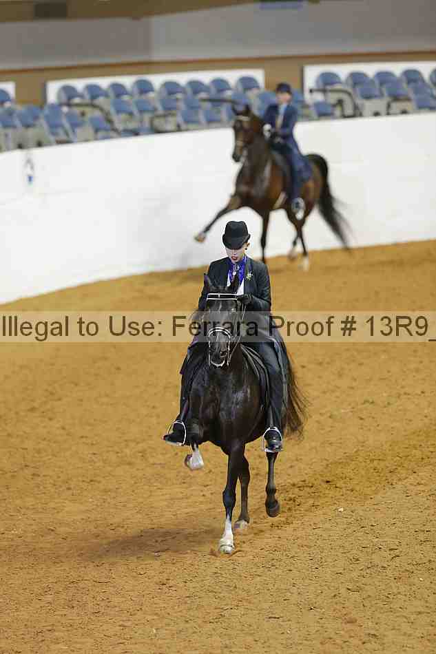 Proof 13r9_2950