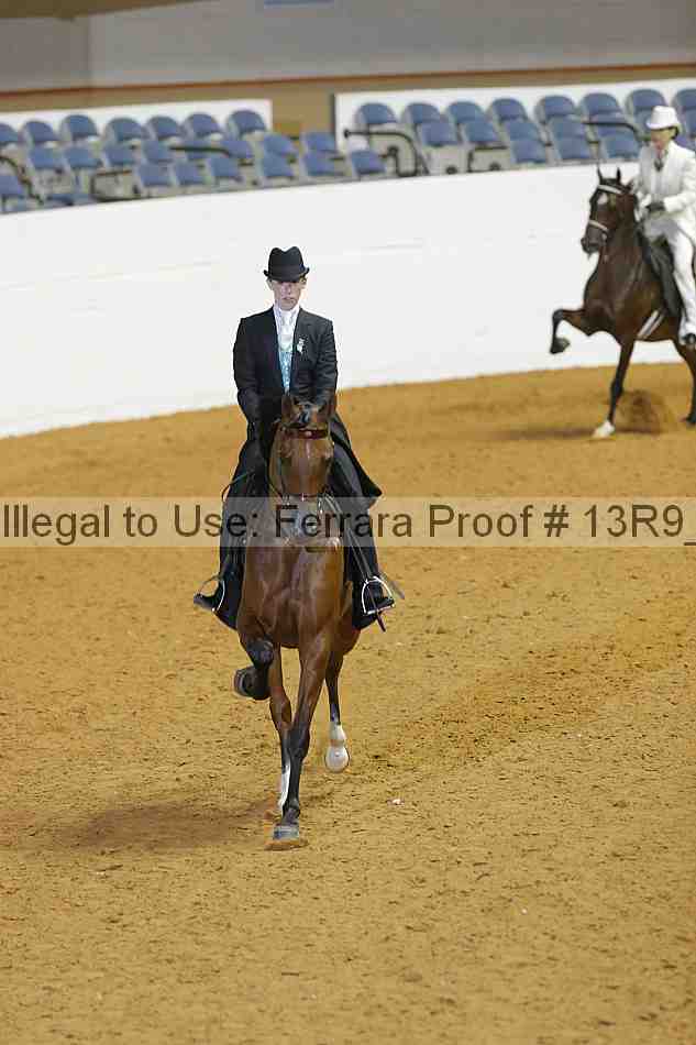 Proof 13r9_2953