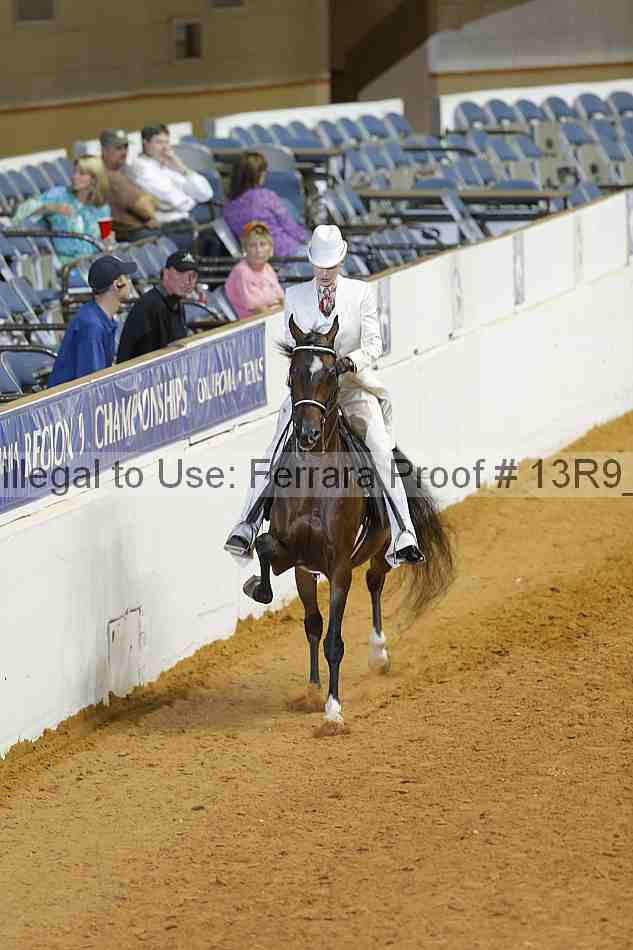 Proof 13r9_2954