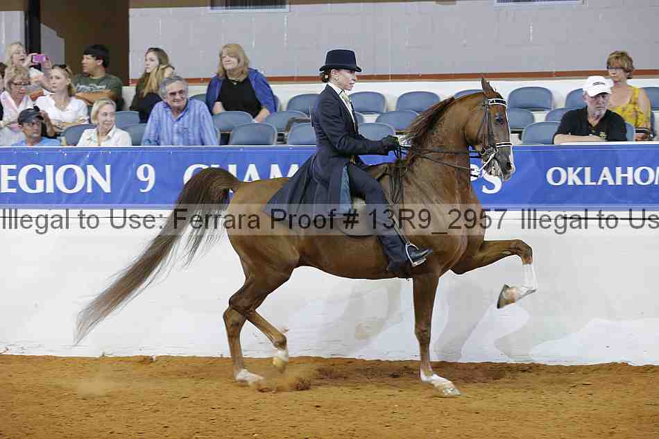 Proof 13r9_2957