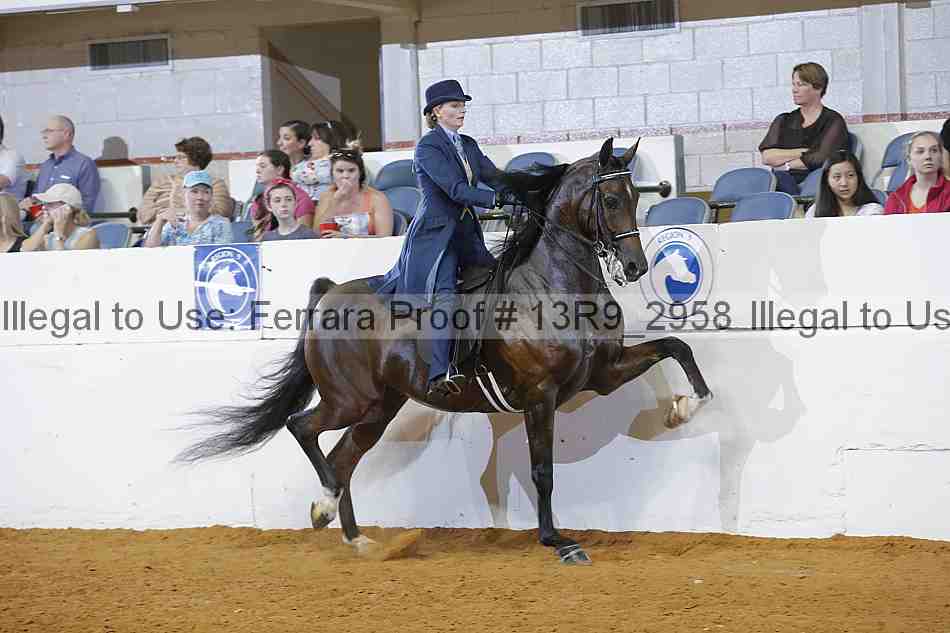 Proof 13r9_2958