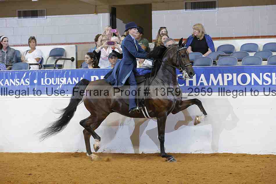 Proof 13r9_2959