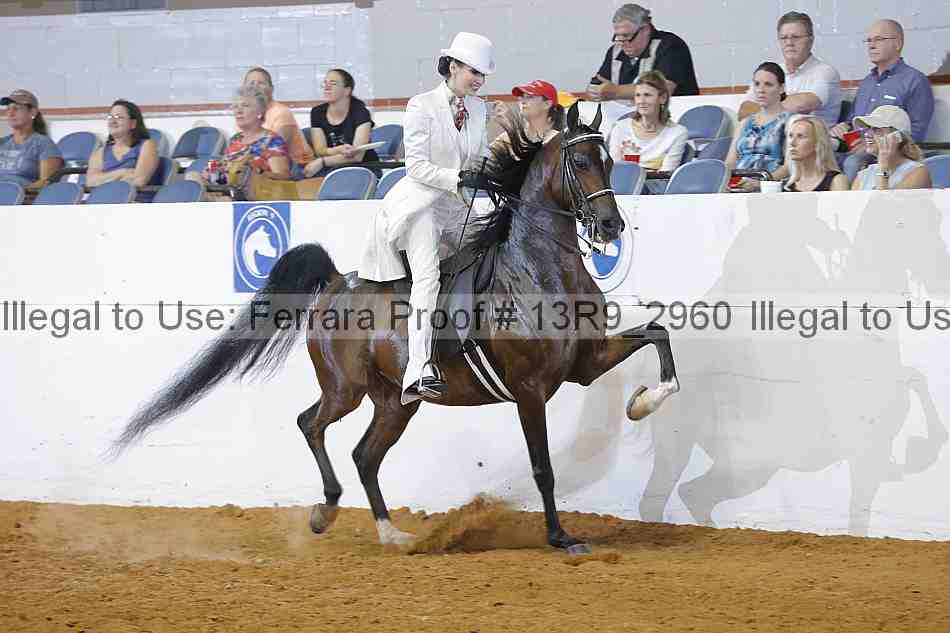 Proof 13r9_2960