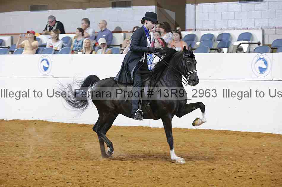 Proof 13r9_2963