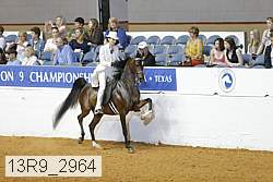 13r9_2964 proof