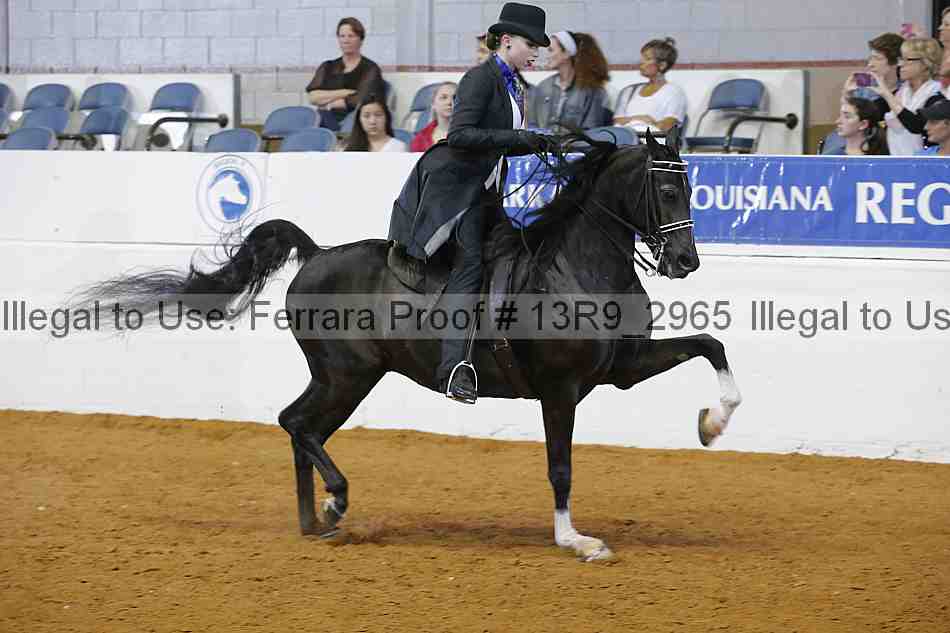 Proof 13r9_2965