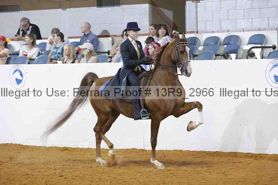 Proof 13r9_2966