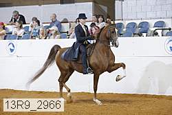 13r9_2966 proof