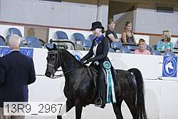 13r9_2967 proof