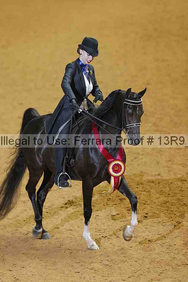 Proof 13r9_2971