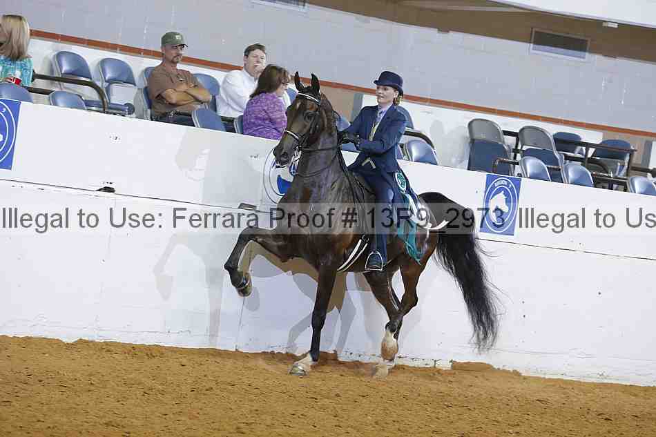 Proof 13r9_2973