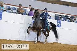 13r9_2973 proof