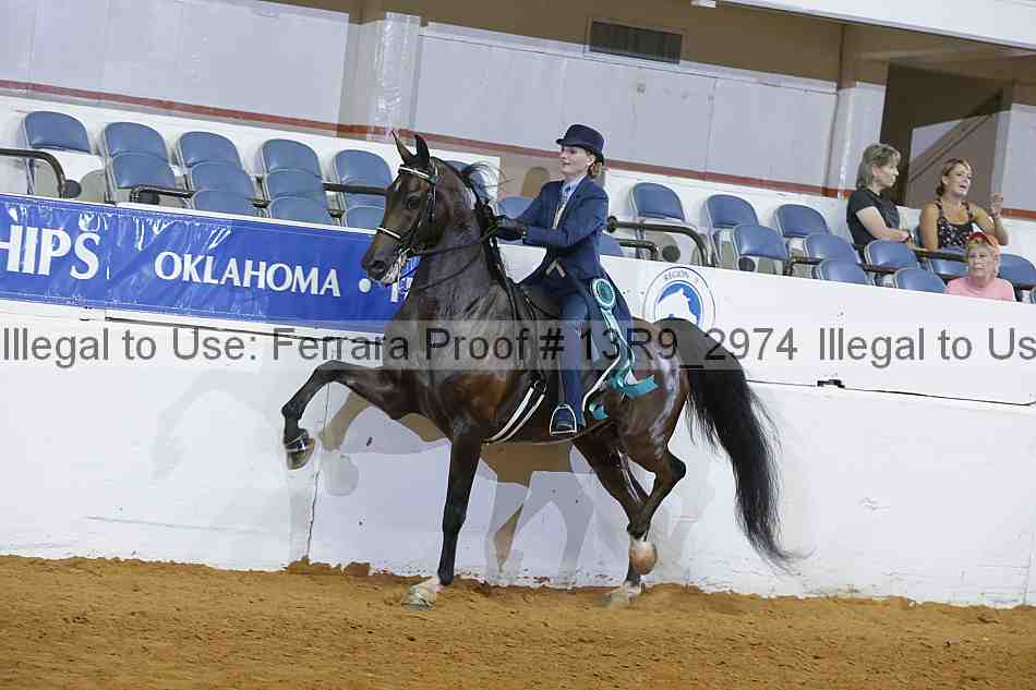 Proof 13r9_2974