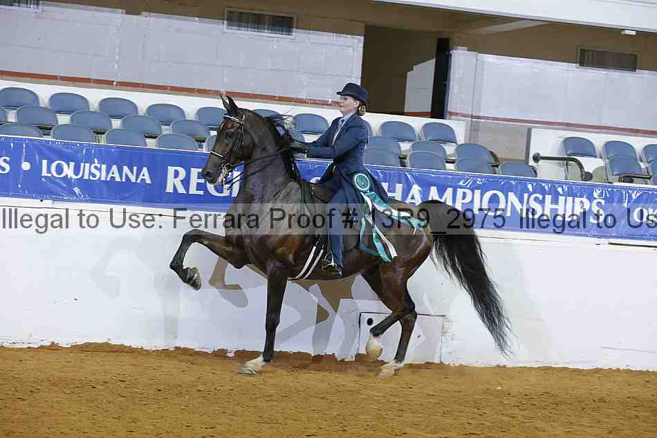 Proof 13r9_2975