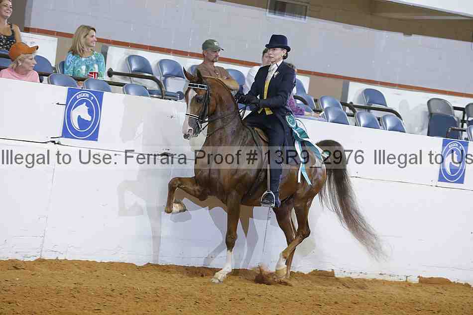 Proof 13r9_2976