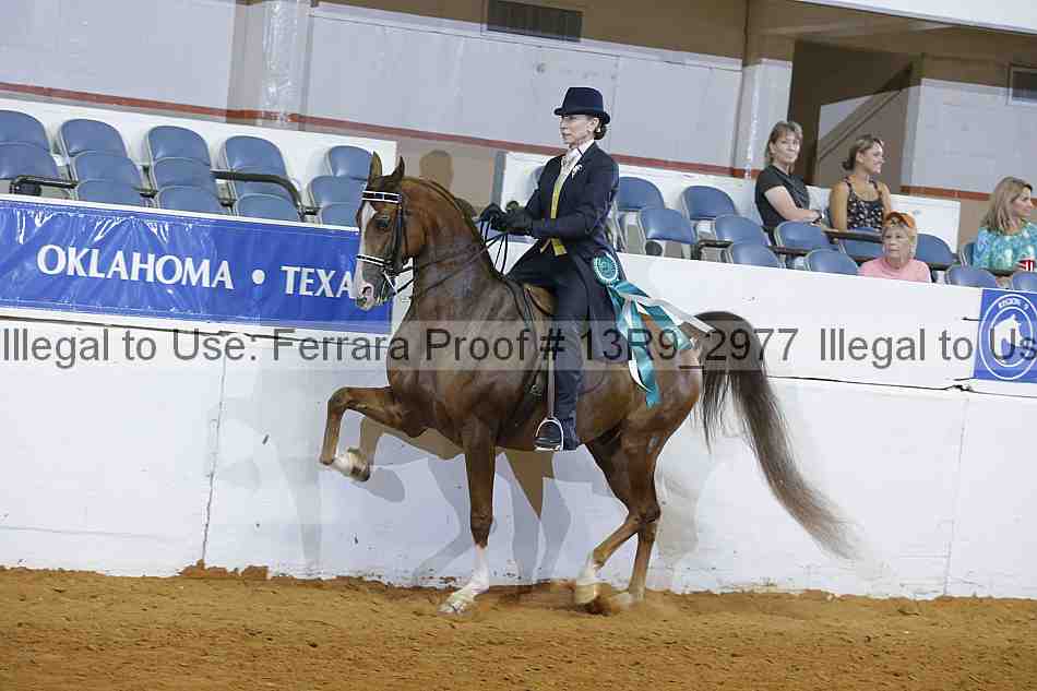 Proof 13r9_2977