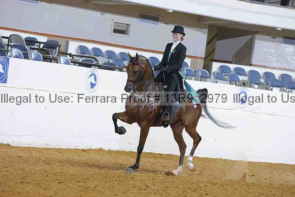 Proof 13r9_2979