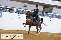 13r9_2979 proof