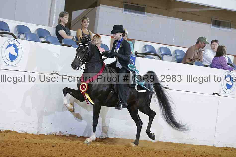 Proof 13r9_2983
