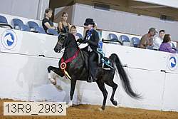13r9_2983 proof