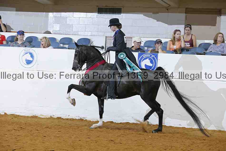Proof 13r9_2984