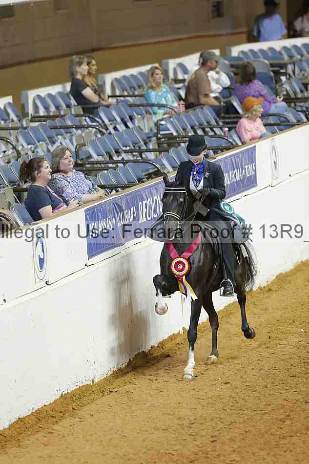 Proof 13r9_2985