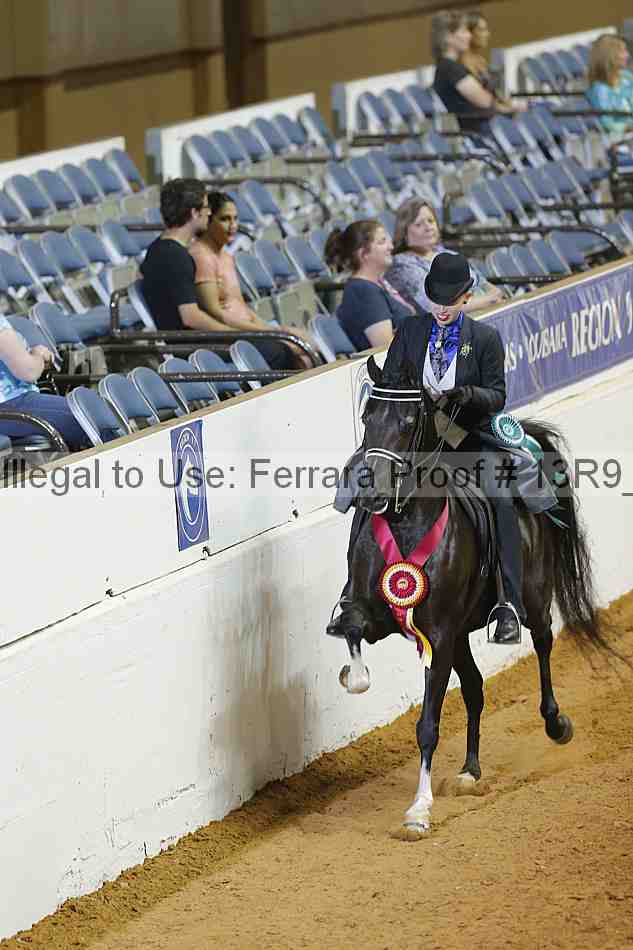 Proof 13r9_2986